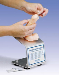 Condom Training Models Penile Model